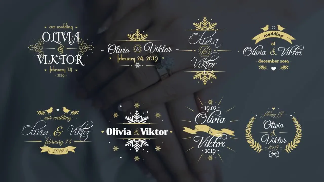 8个独特创意优雅的冬季婚礼标题像素设计精选AE模板