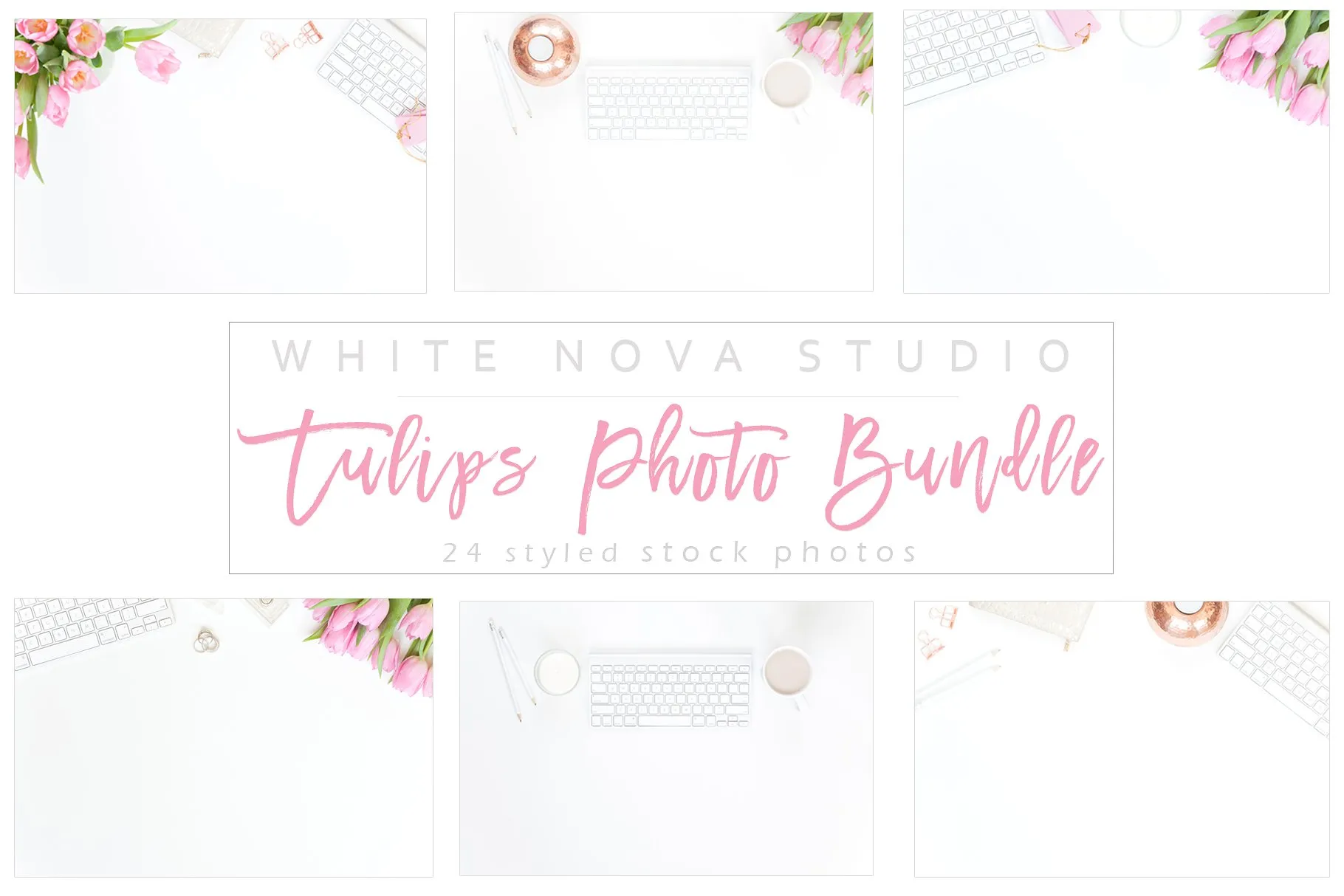 高清郁金香实物场景样机模板 Tulips Photo Bundle插图(6)