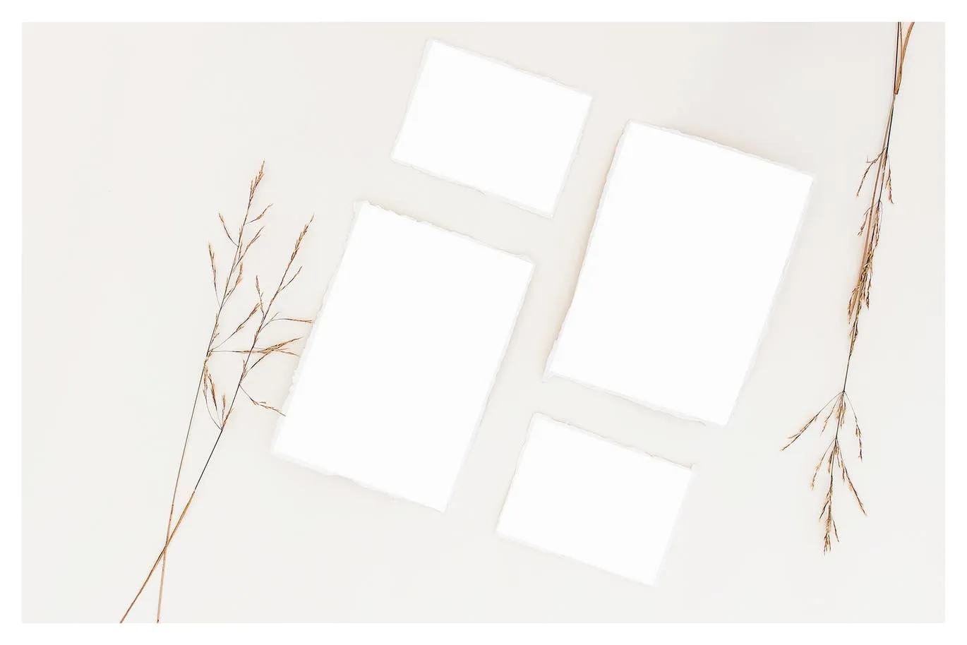 野花装饰背景卡片贺卡设计效果图样机 Wildflowers Cards Mockup插图(8)