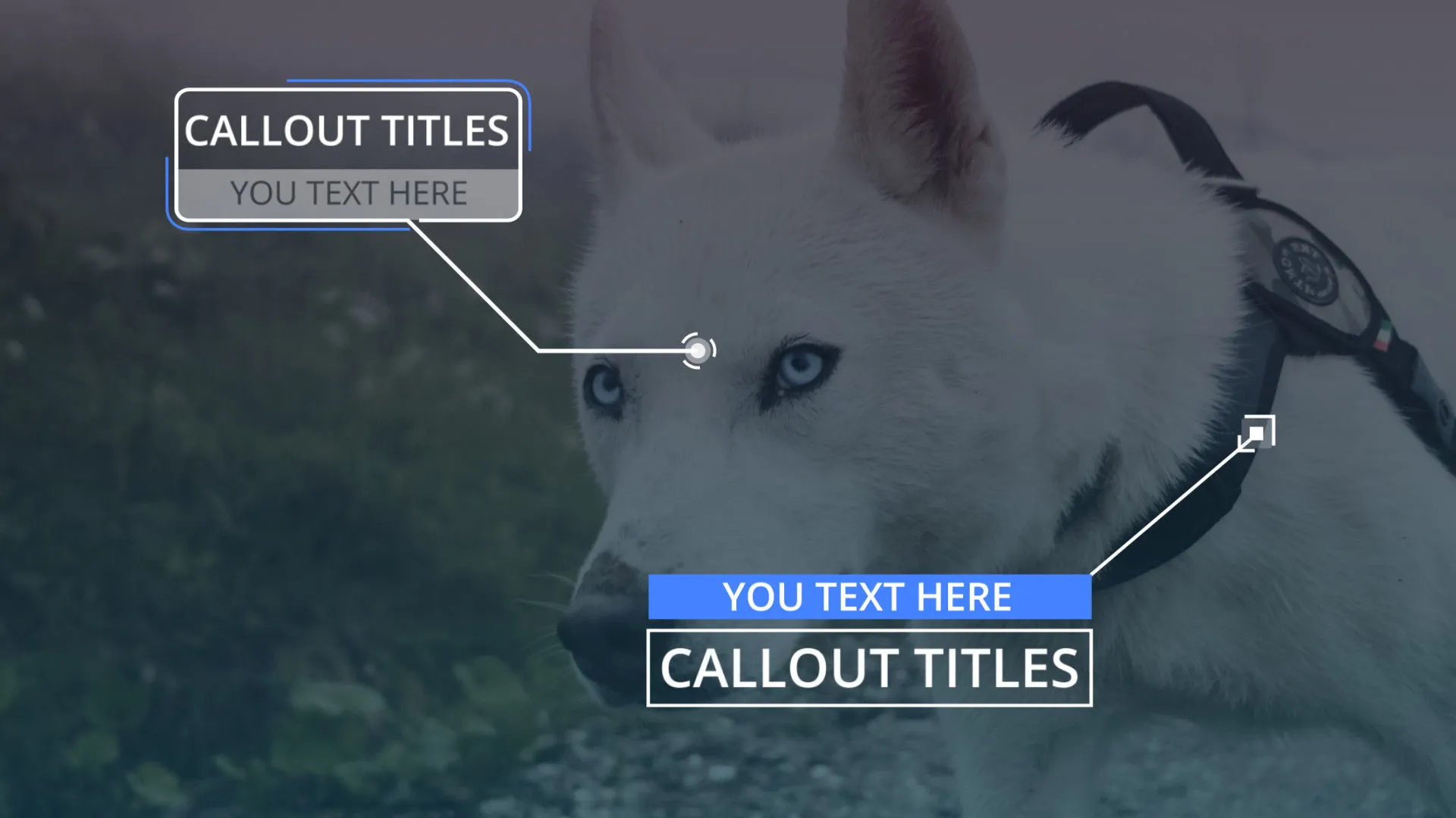 12个创意标注标题像素设计精选AE模板