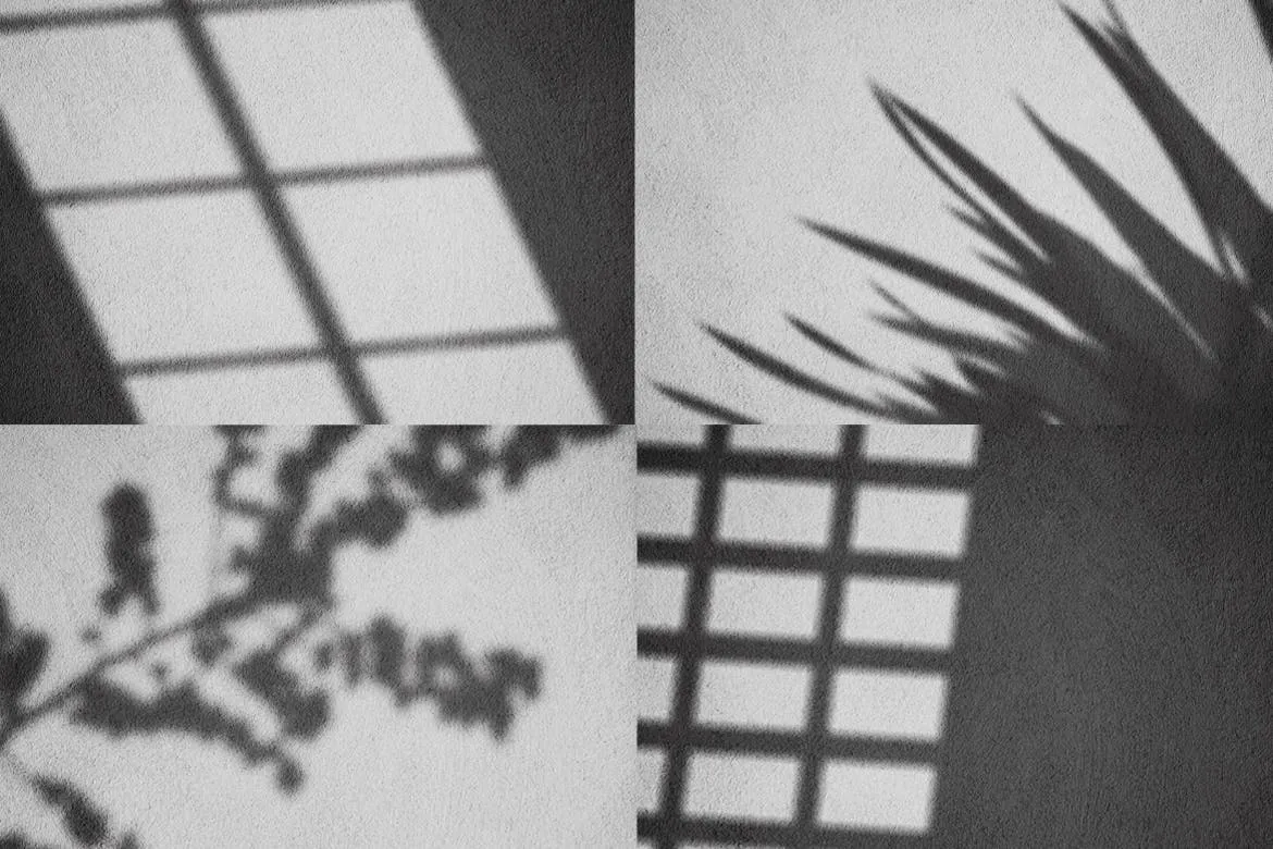 逼真植物阴影背景样机合集 Realistic Shadow Mock-Up Collection插图(2)