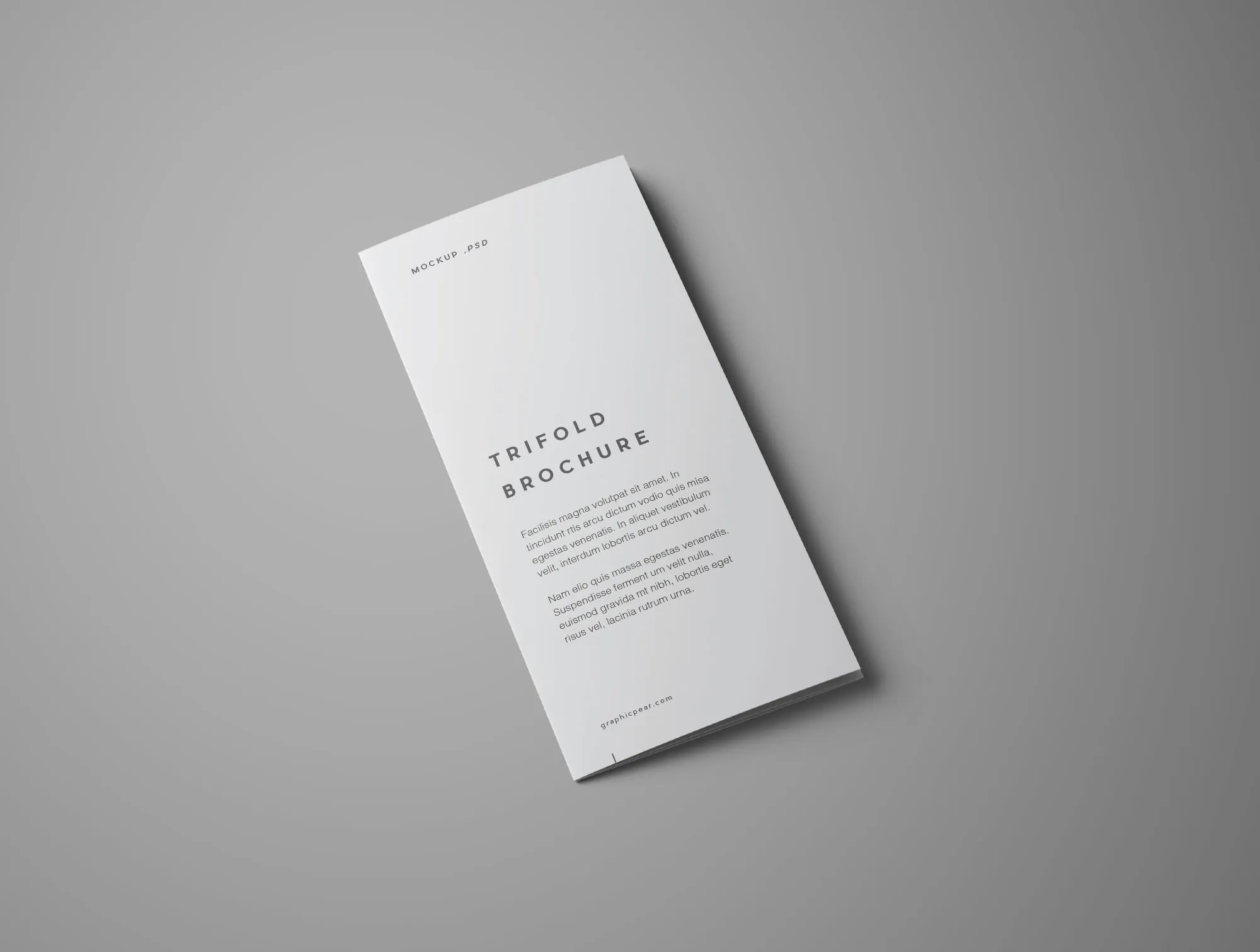 多角度三折页宣传单设计效果图样机 Free Advanced Trifold Brochure Mockup – 7 Angles插图(3)