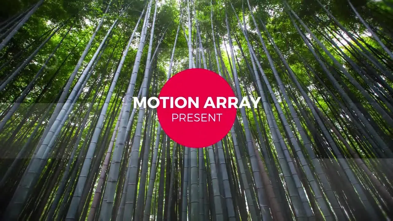 位移幻灯片文本动画照片像素设计精选AE模板