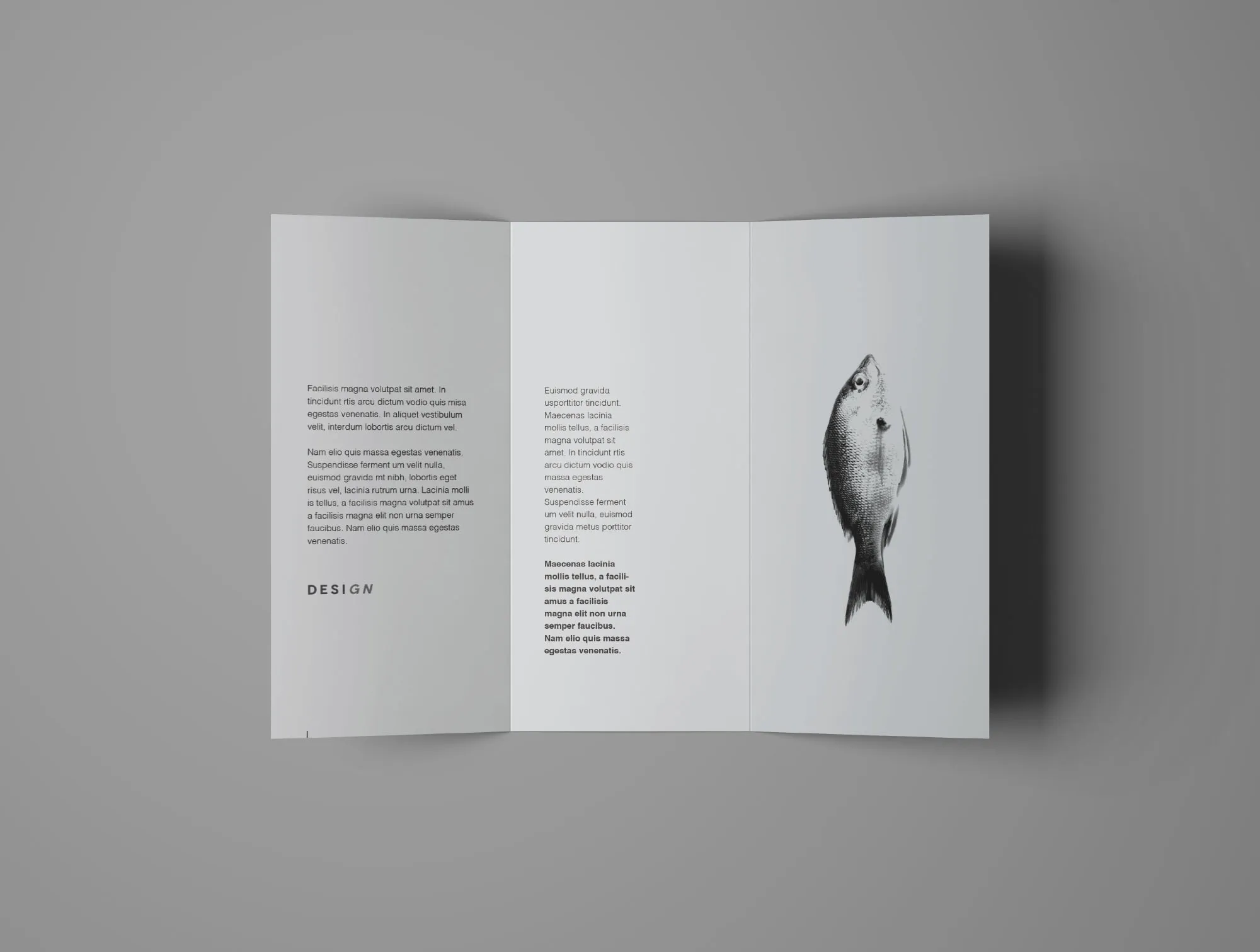 多角度三折页宣传单设计效果图样机 Free Advanced Trifold Brochure Mockup – 7 Angles插图(5)