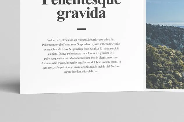 方形Z折小册子版面设计图样机素材库精选 Square Z-Fold Brochure Mock-Up插图(4)