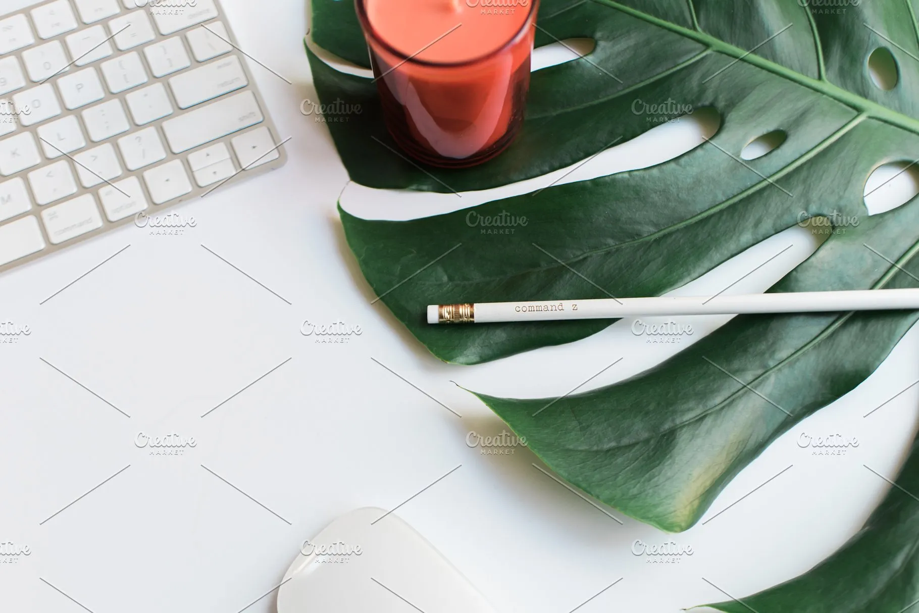 小资格调场景样机合集 MASSIVE Tropical Stock Photo Bundle插图(7)