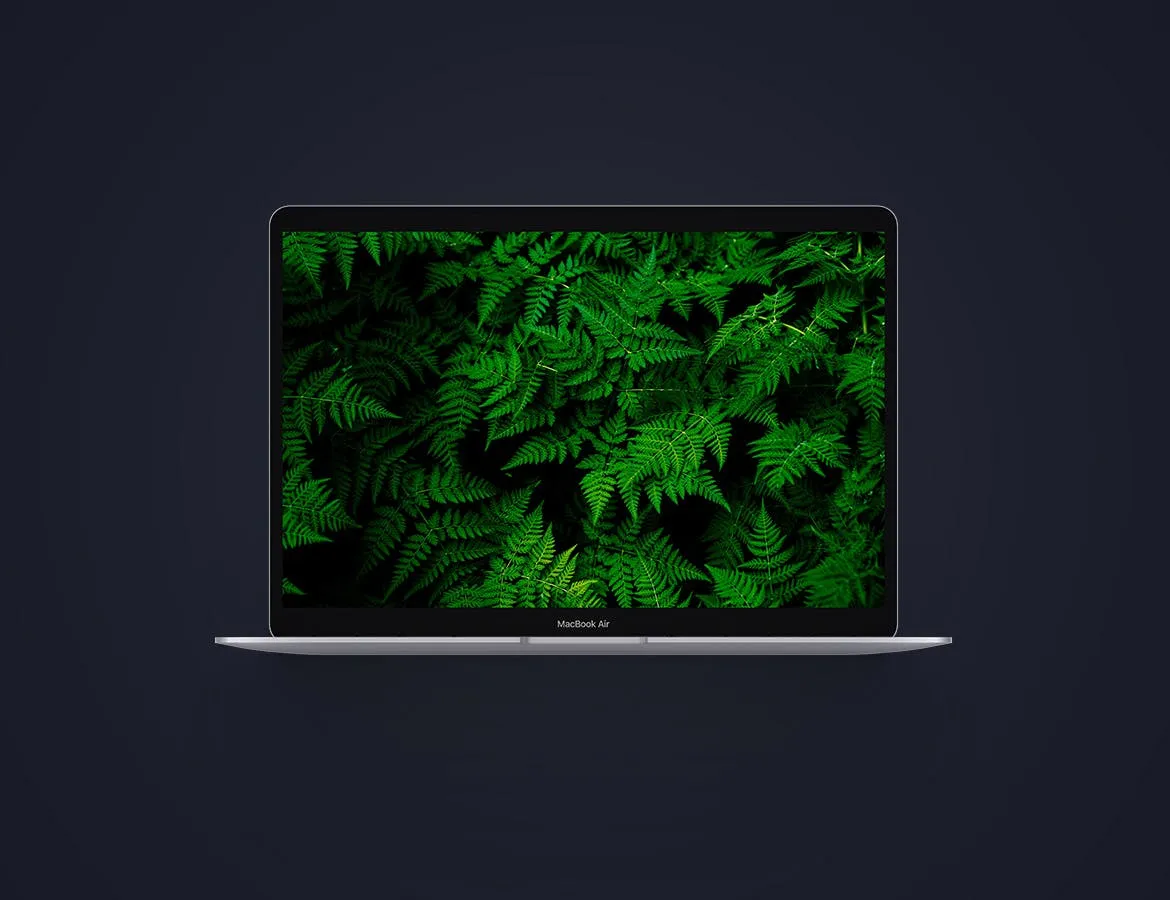MacBook 2019版本Web网站设计案例展示样机 Macbook Air 2019 Mockup插图(2)