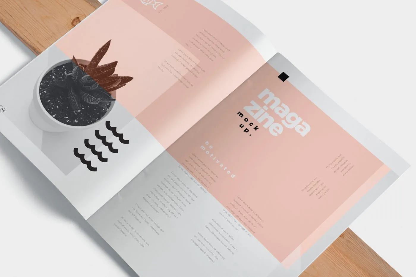 杂志广告图片设计印刷效果图样机 Open Magazine Mockups for Ad Designs插图(4)