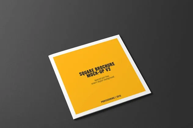 画册目录手册样机模板 Square Brochure / Catalogue Mock-Up插图(9)