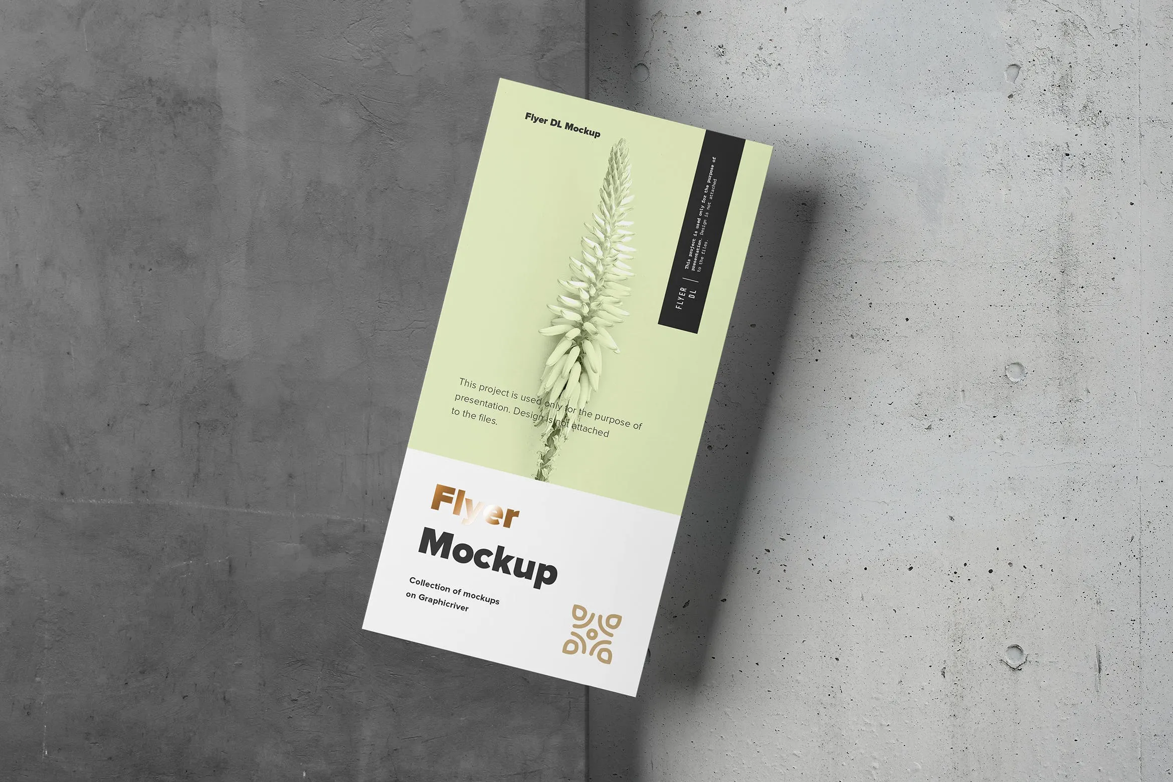 传单设计印刷效果图样机像素设计精选模板 Flyer Mock-up