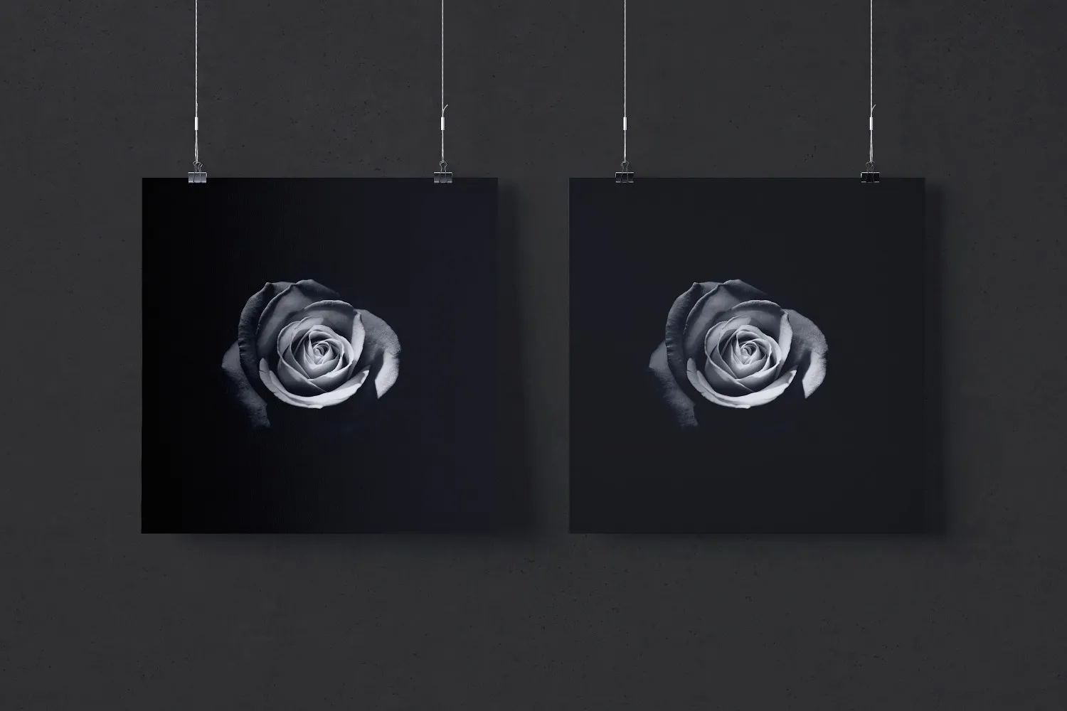 1:1比例两幅肖像油画海报展示样机素材库精选 Two 1:1 square hanging posters mockup插图(2)