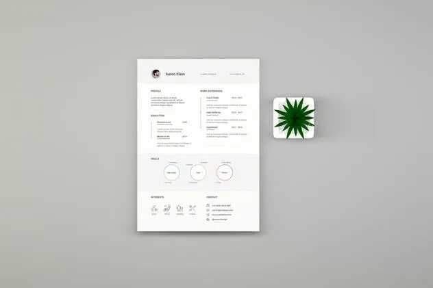 简历设计预览样机模板 Resume Mockups and Template插图(1)