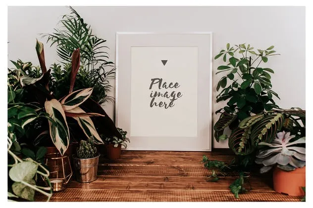 盆栽装饰画框样机模板 Frame Mockup Boho Style插图(6)