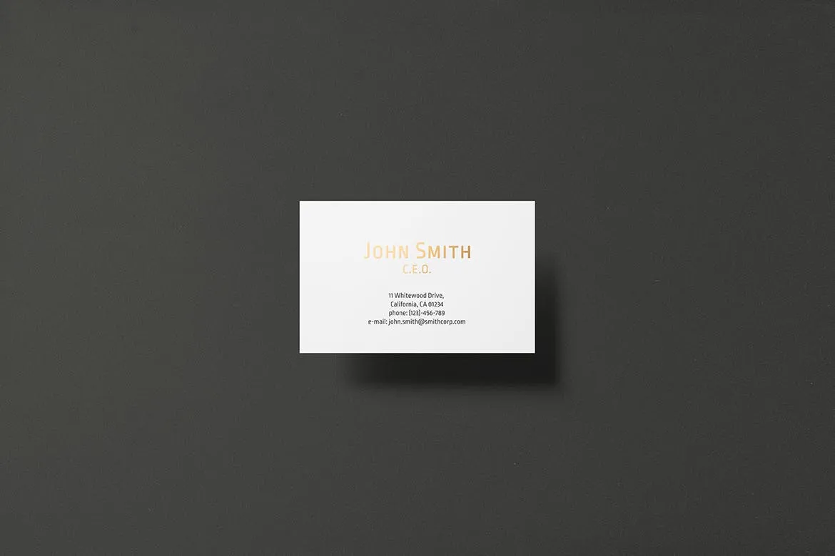 高端企业名片设计效果图素材库精选套装 8.5×5.5cm Landscape Business Card Mockup插图(2)