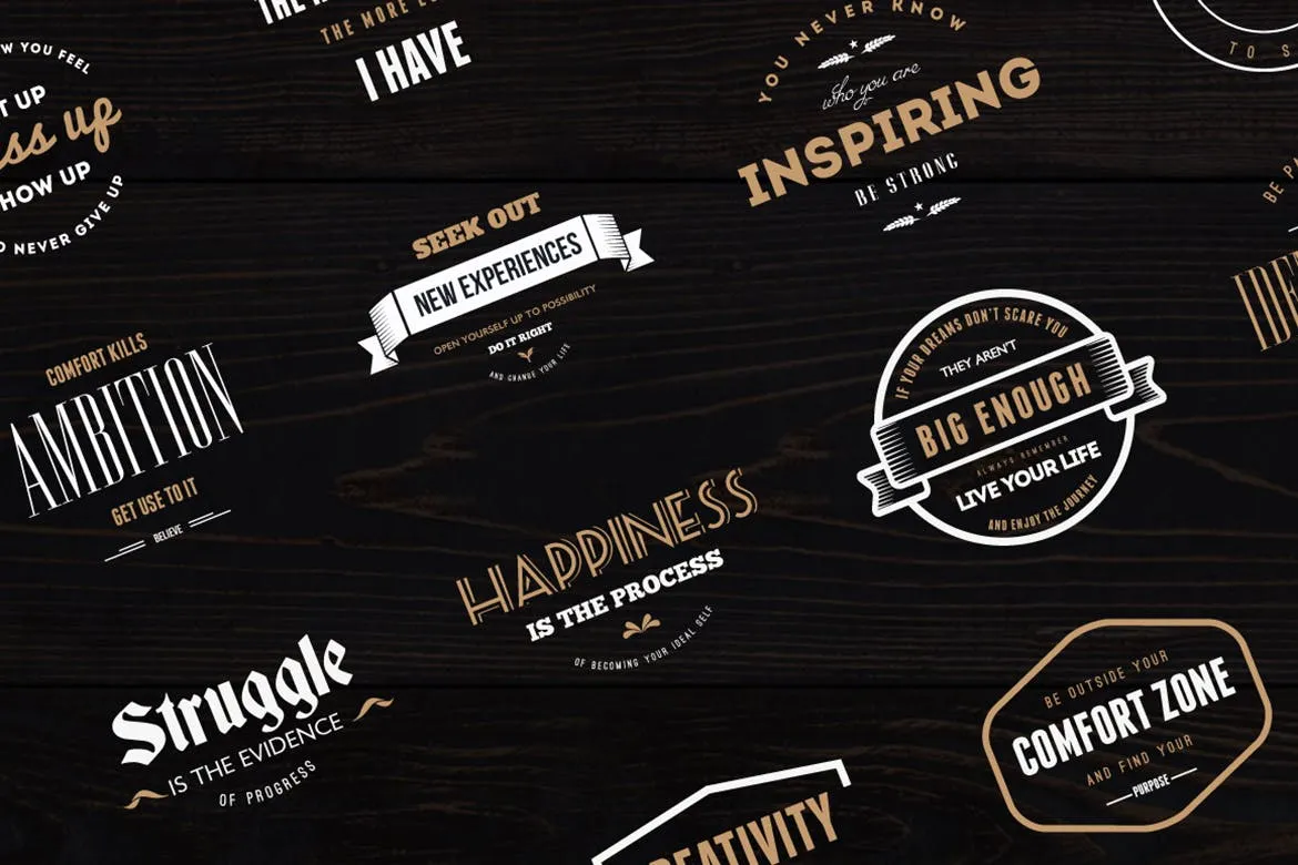 18款复古设计风格品牌Logo#038;徽标设计模板