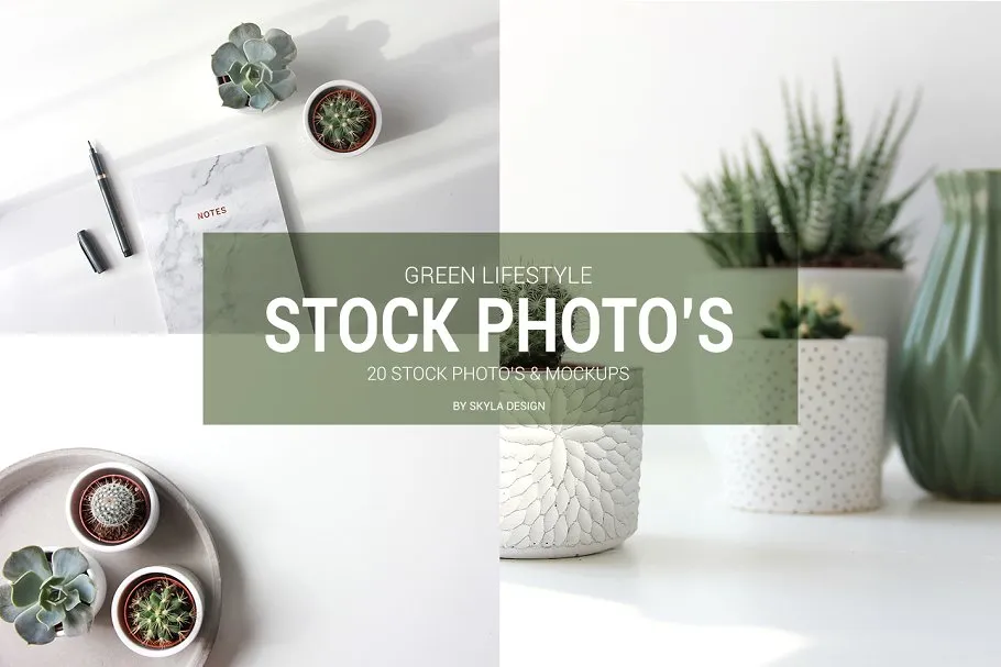 简约绿色生活方式照片样机模板 Stock photo mockups Green lifestyle插图