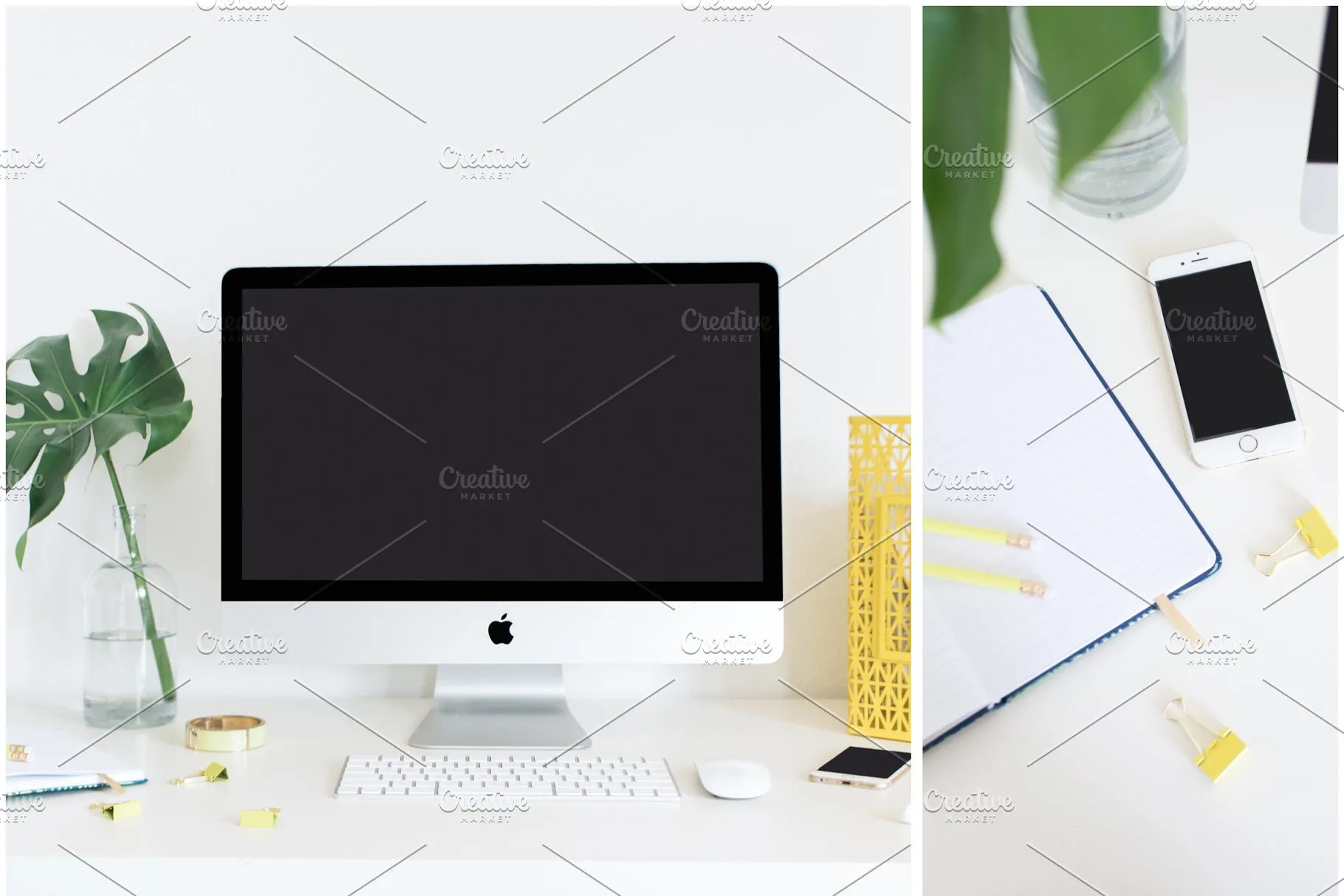 小资格调场景样机合集 MASSIVE Tropical Stock Photo Bundle插图(4)