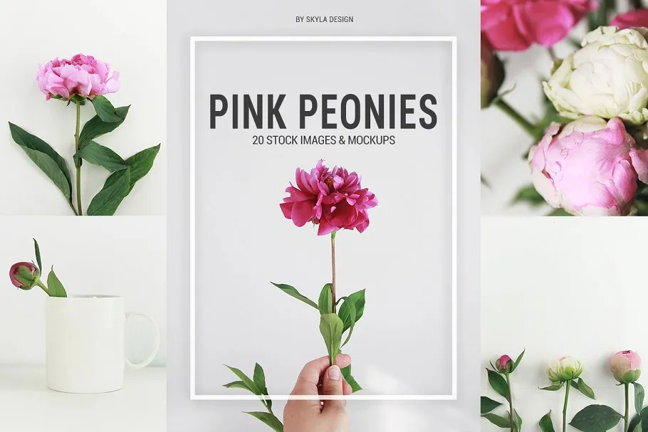 粉红牡丹场景装饰样机模板 Pink peonies stockamp; mockups