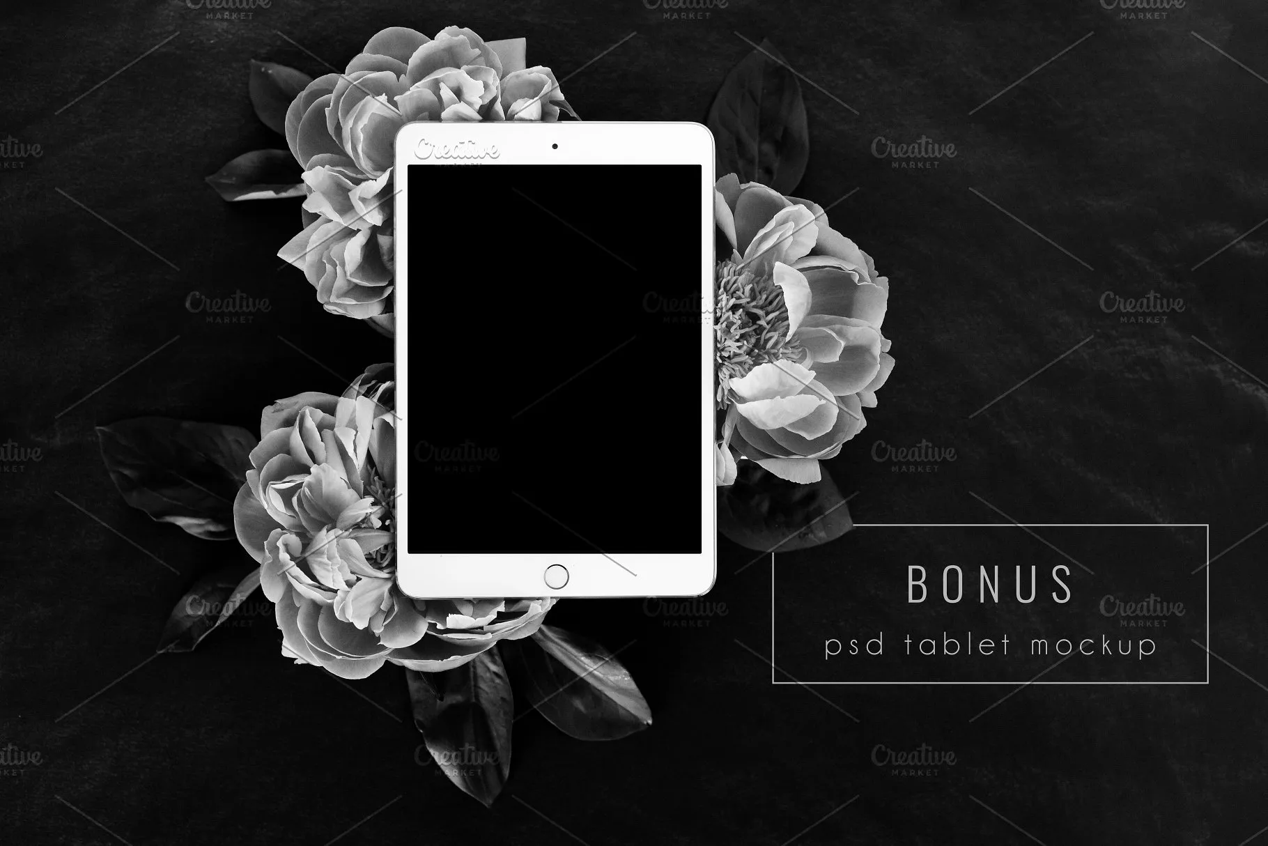 黑色背景花卉场景样机 Floral Background PNG Stock Photos插图(2)