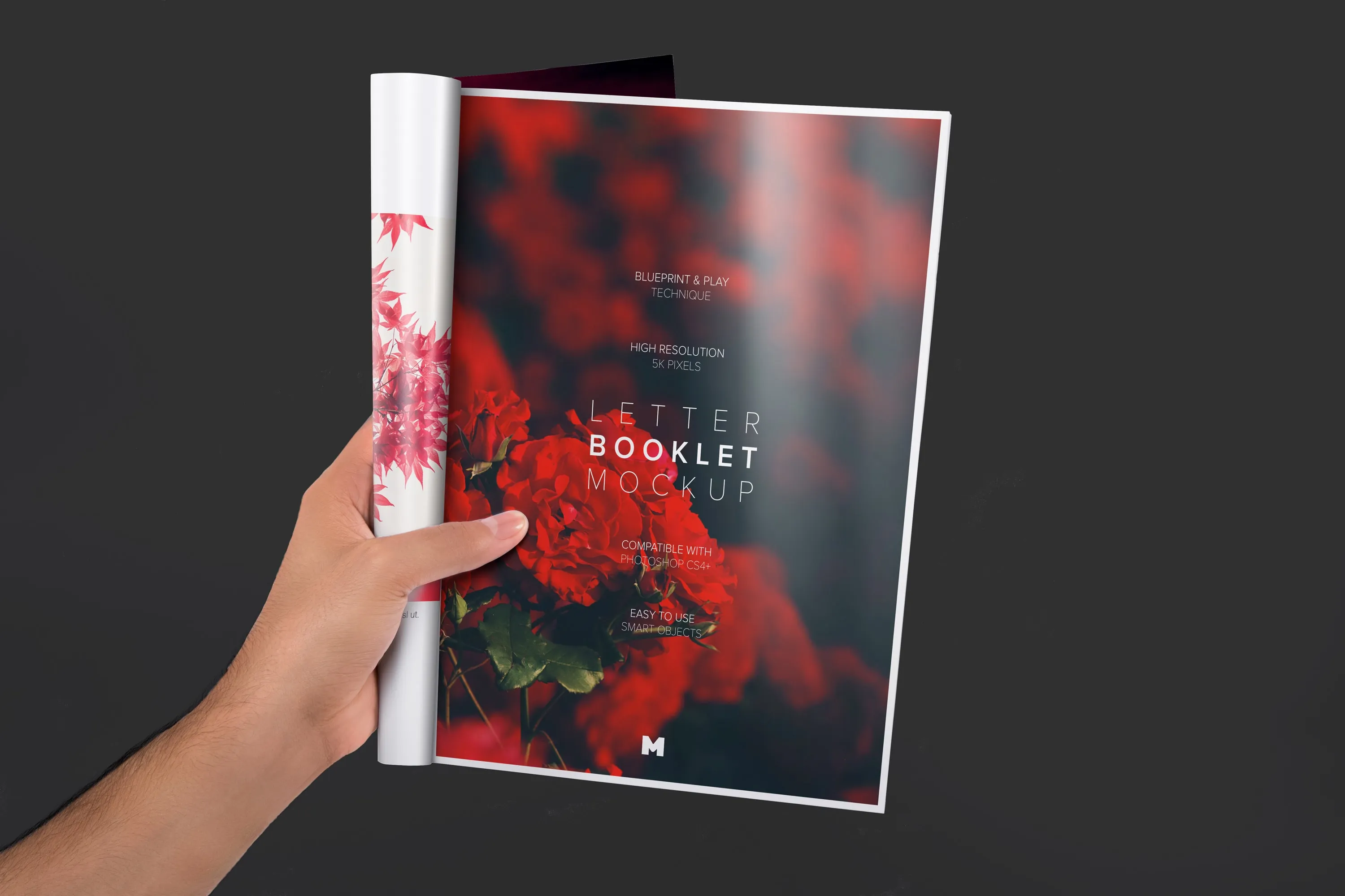 信纸规格小册子单页设计图样机 Letter Booklet Single Page Mockup插图(1)