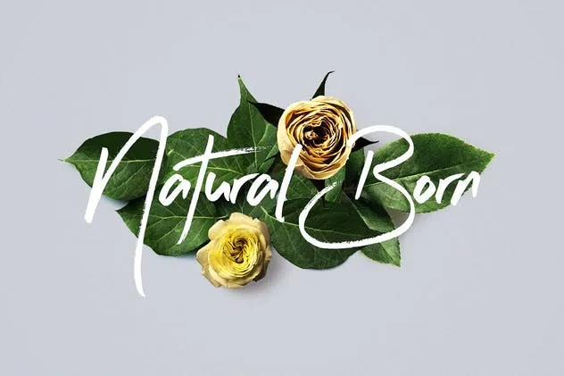 繁花似锦逼真鲜花场景样机模板 Flower Boom Graphic Pack插图(1)