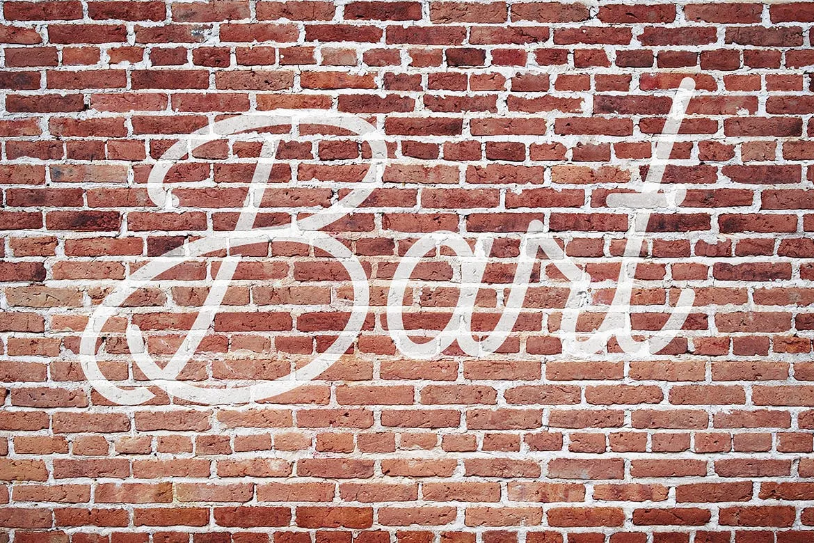 红墙砖背景刷墙文字/Logo预览样机模板 Red Wallbrick Mockup插图(2)