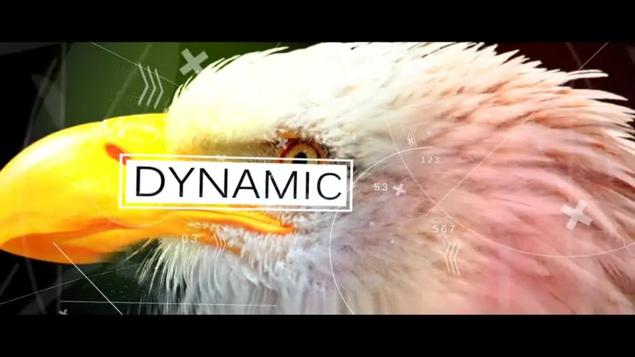 引人注目且富有创意的照片动画展示像素设计精选AE模板