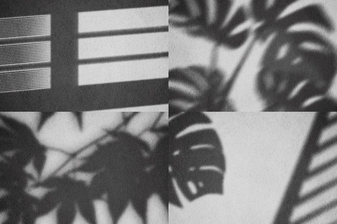 逼真植物阴影背景样机合集 Realistic Shadow Mock-Up Collection插图(3)