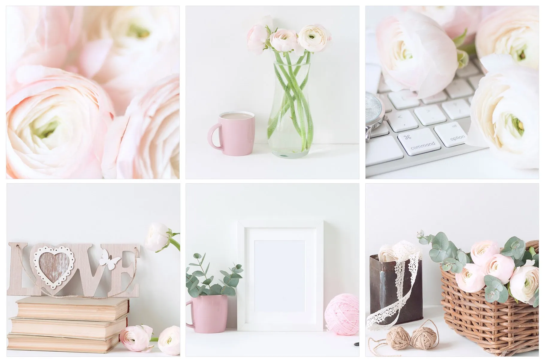 粉红毛茛花卉装饰场景样机 Pink Ranunculus Bundle插图(1)