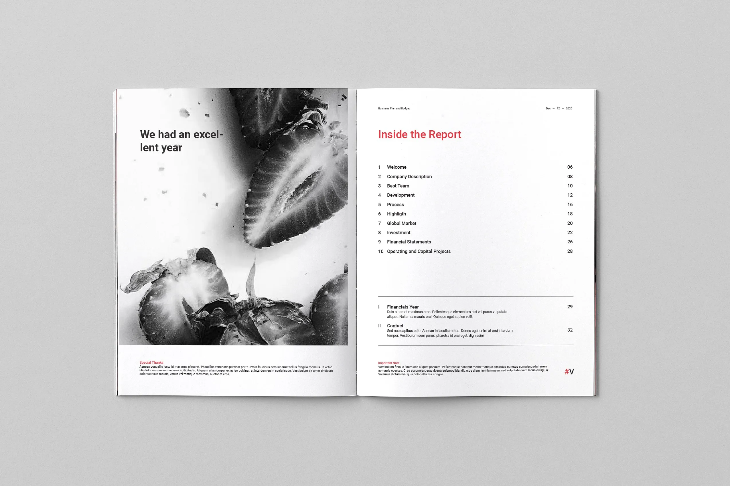 36页专业极简的年度总结杂志模板下载 Annual Reports [indd]插图(2)