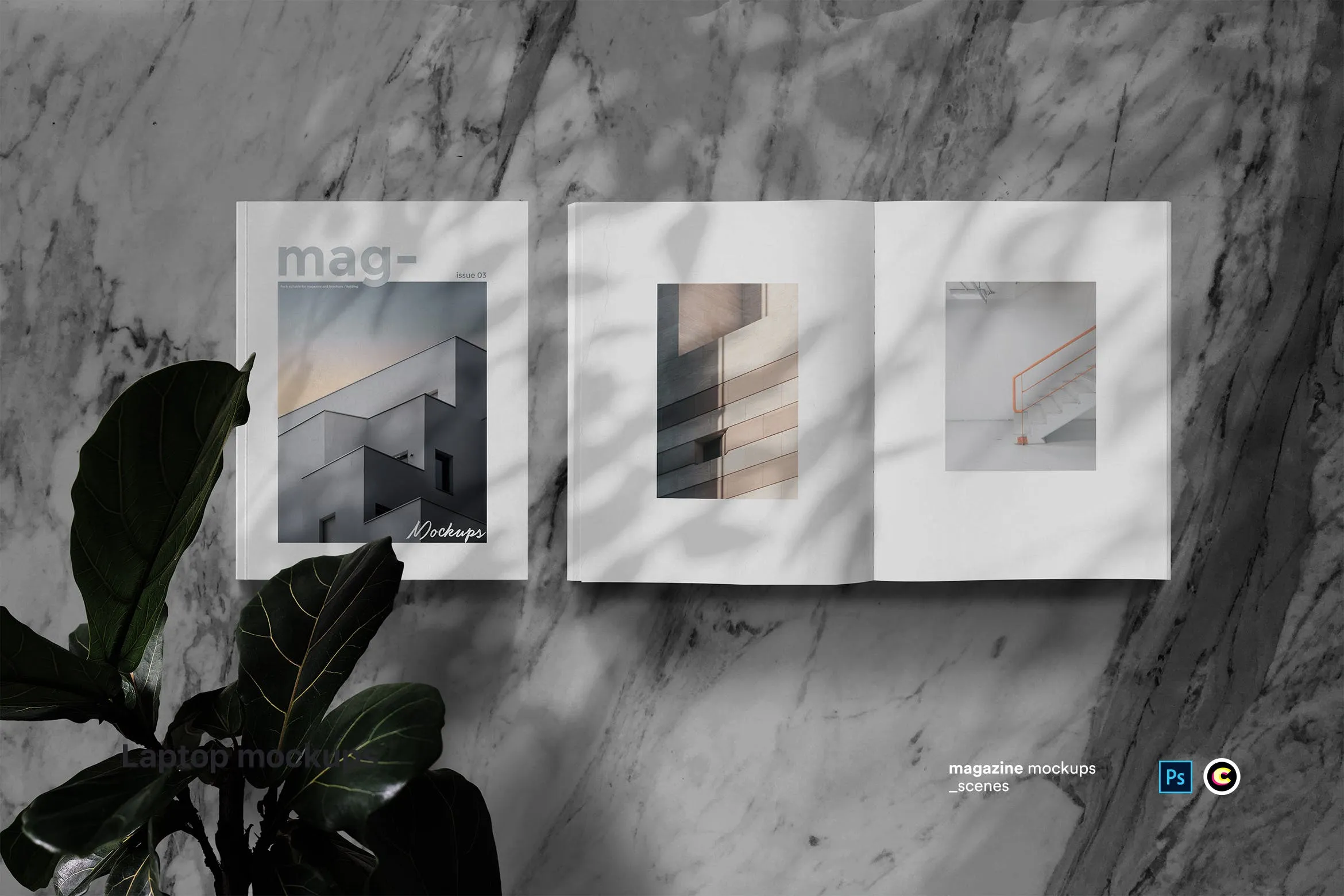 植物阴影大理石背景杂志版式设计预览样机素材库精选模板 Magazine Mock Up插图