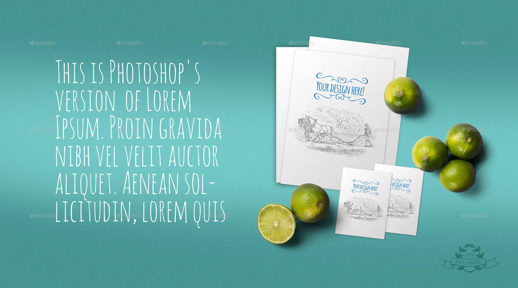 高品质有机食品的展示模型&英雄图片下载 2.49 GB[PSD]插图(11)