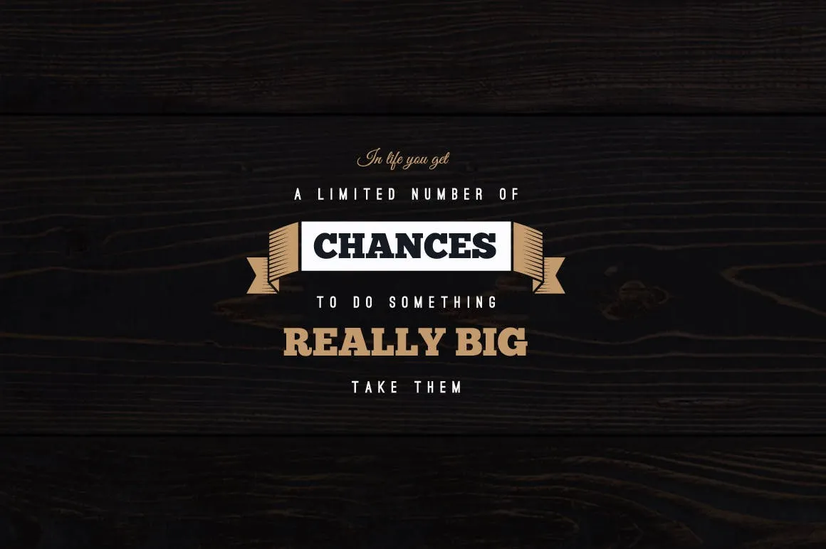 18款复古设计风格品牌Logo&徽标设计模板插图(1)