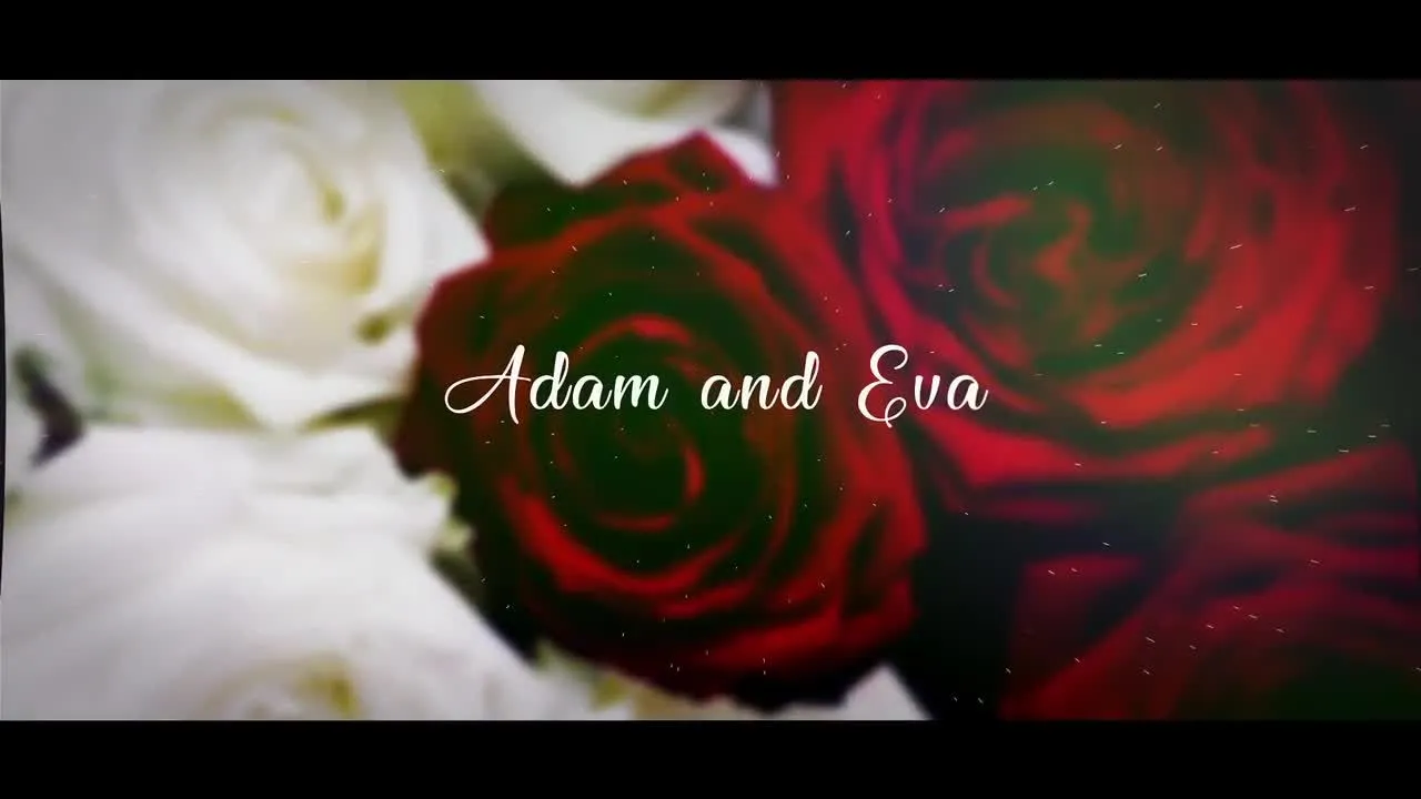 浪漫婚礼幻灯片像素设计精选AE模板