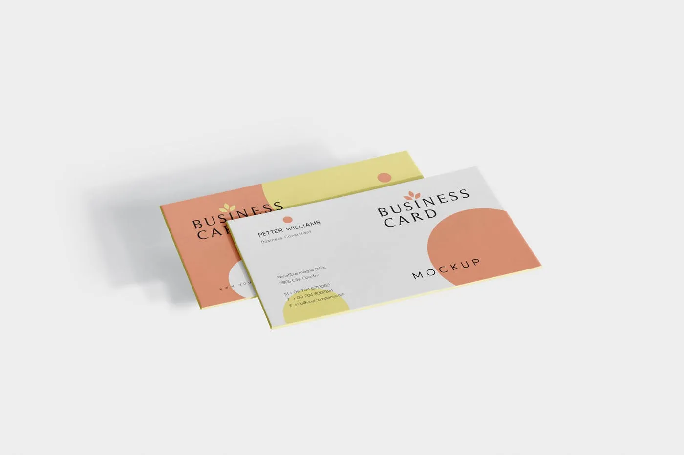 创意企业名片设计阴影效果图素材库精选 Business Card Mock-Ups插图(3)