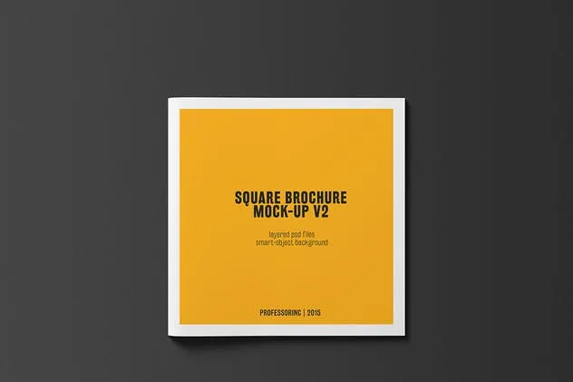 画册目录手册样机模板 Square Brochure / Catalogue Mock-Up插图(2)