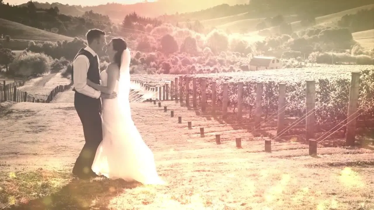 婚礼或周年纪念像素设计精选AE模板