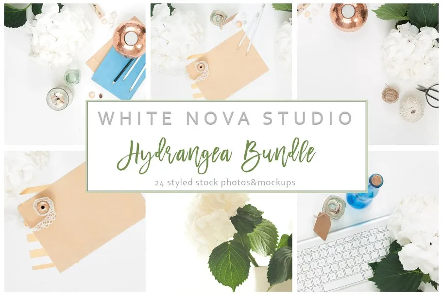 八仙花装饰工作场景样机 Hydrangea Workplace Bundle插图(6)