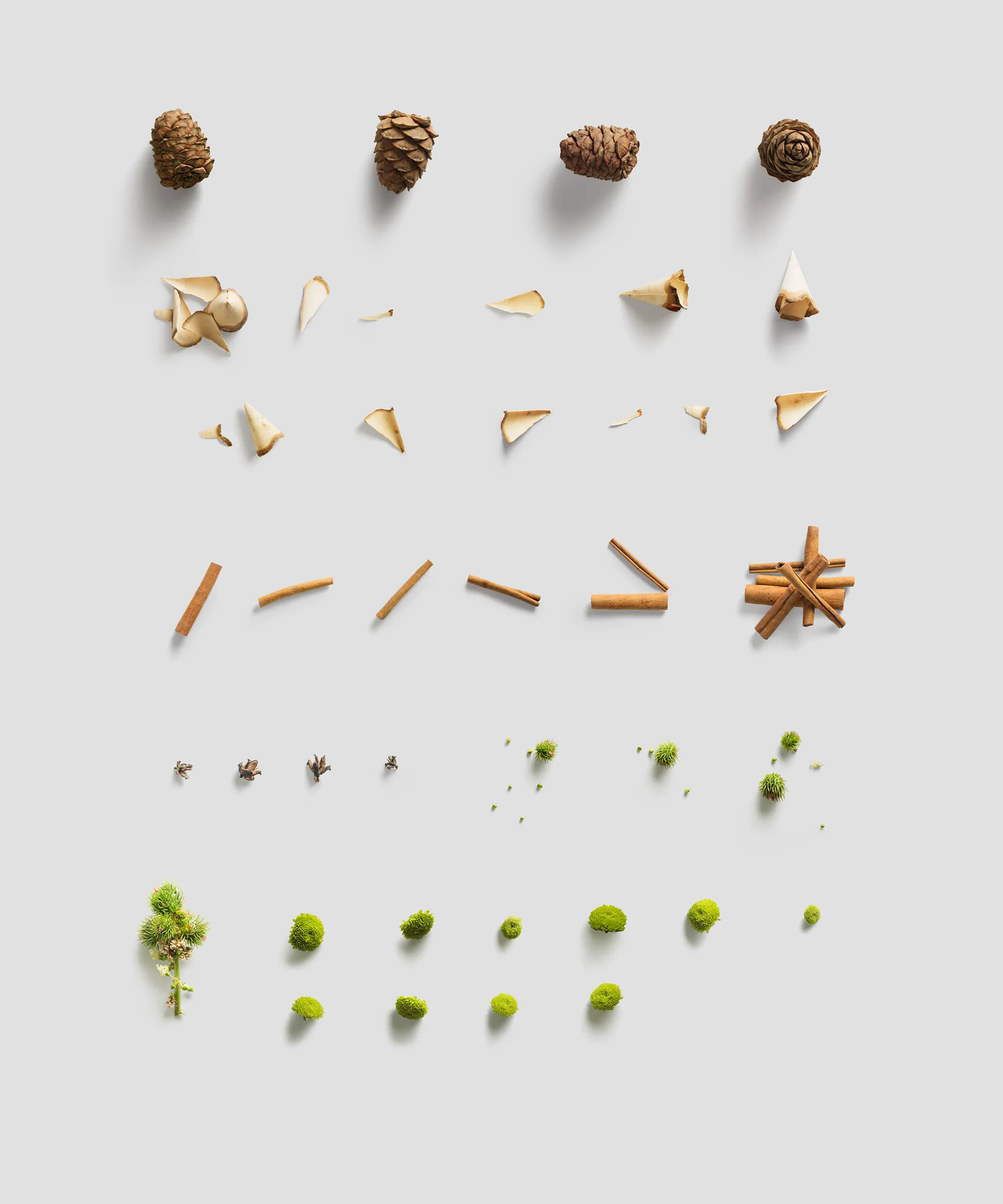 环境主题设计物件高清图素材包 Environment  Items插图(10)