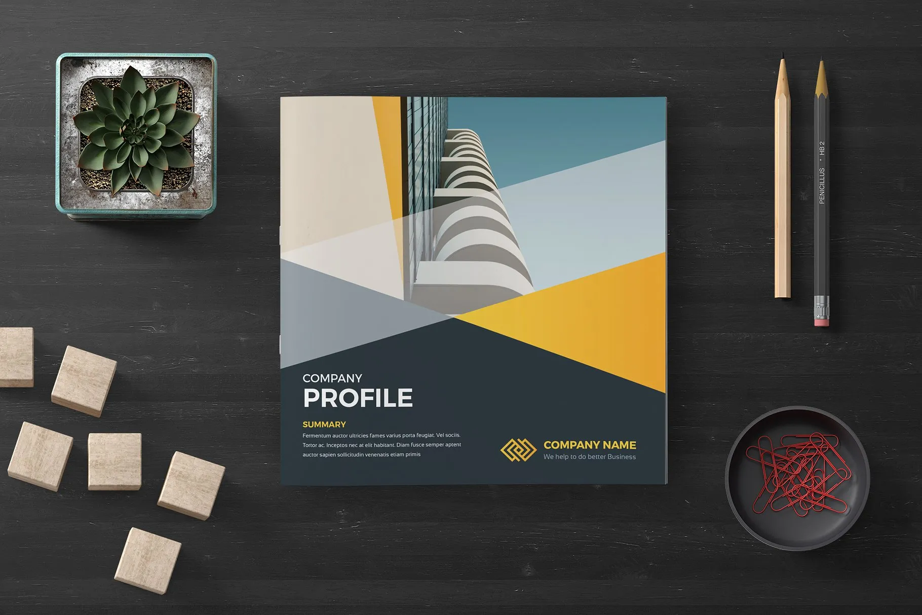 专业极简的公司简介画册模板下载 Company Profile Square [indd]插图