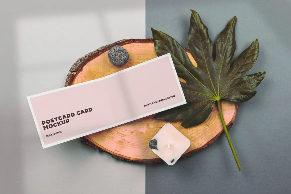 鲜花背景名片和明信片设计效果样机模板 Natural Scene – Business cards & postcard mockup插图(4)