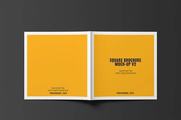 画册目录手册样机模板 Square Brochure / Catalogue Mock-Up插图(6)