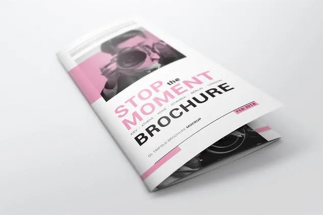 折页小册折页传单样机模板 DL Trifold Brochure Mockups插图(2)