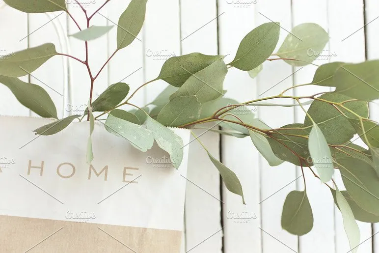 小资情调场景样机 Freelance Bundle插图(7)