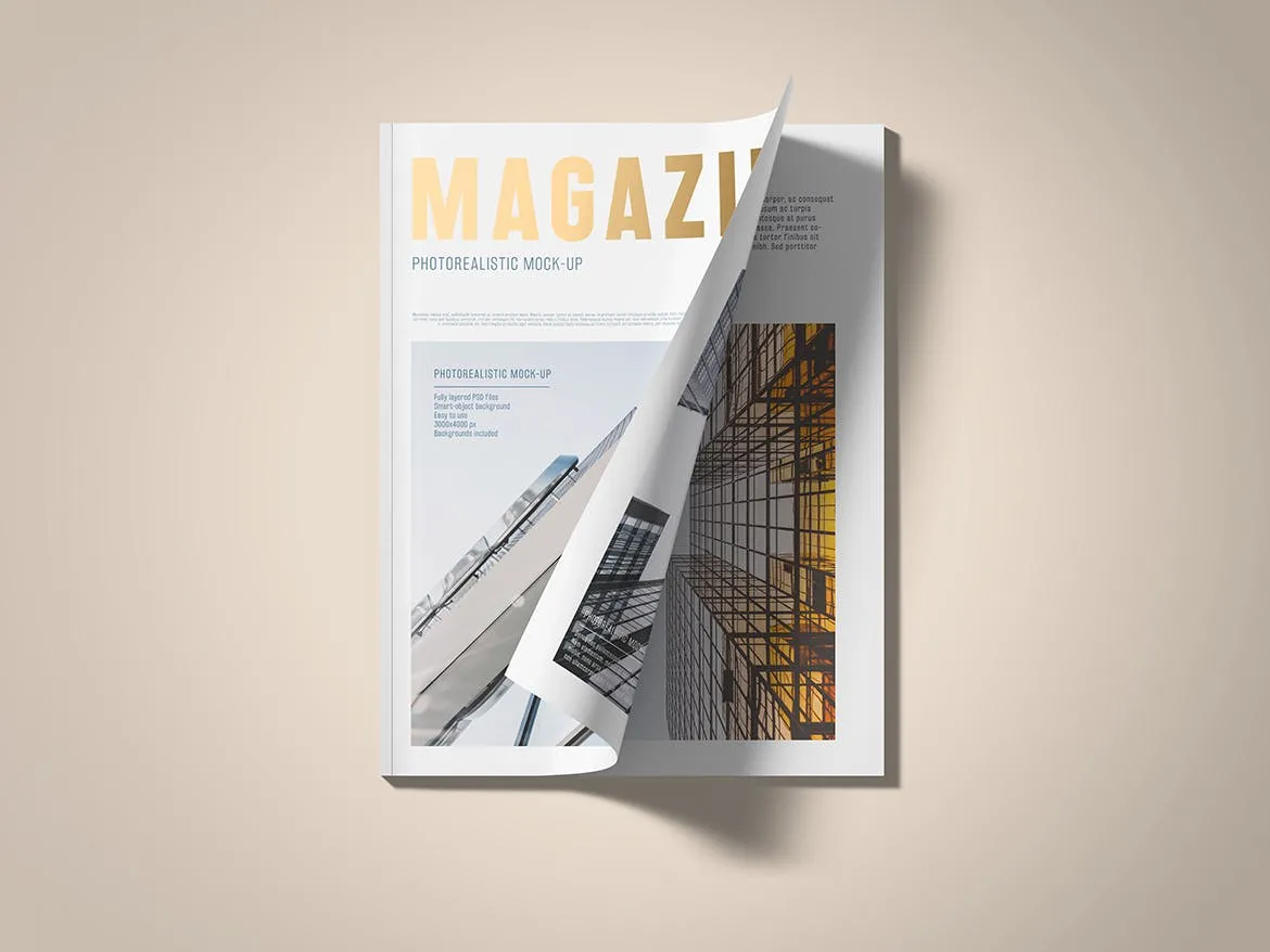 铝箔压印技术美国尺寸标准杂志设计图样机 US Letter Foil Stamping Magazine Mock-Up插图(13)