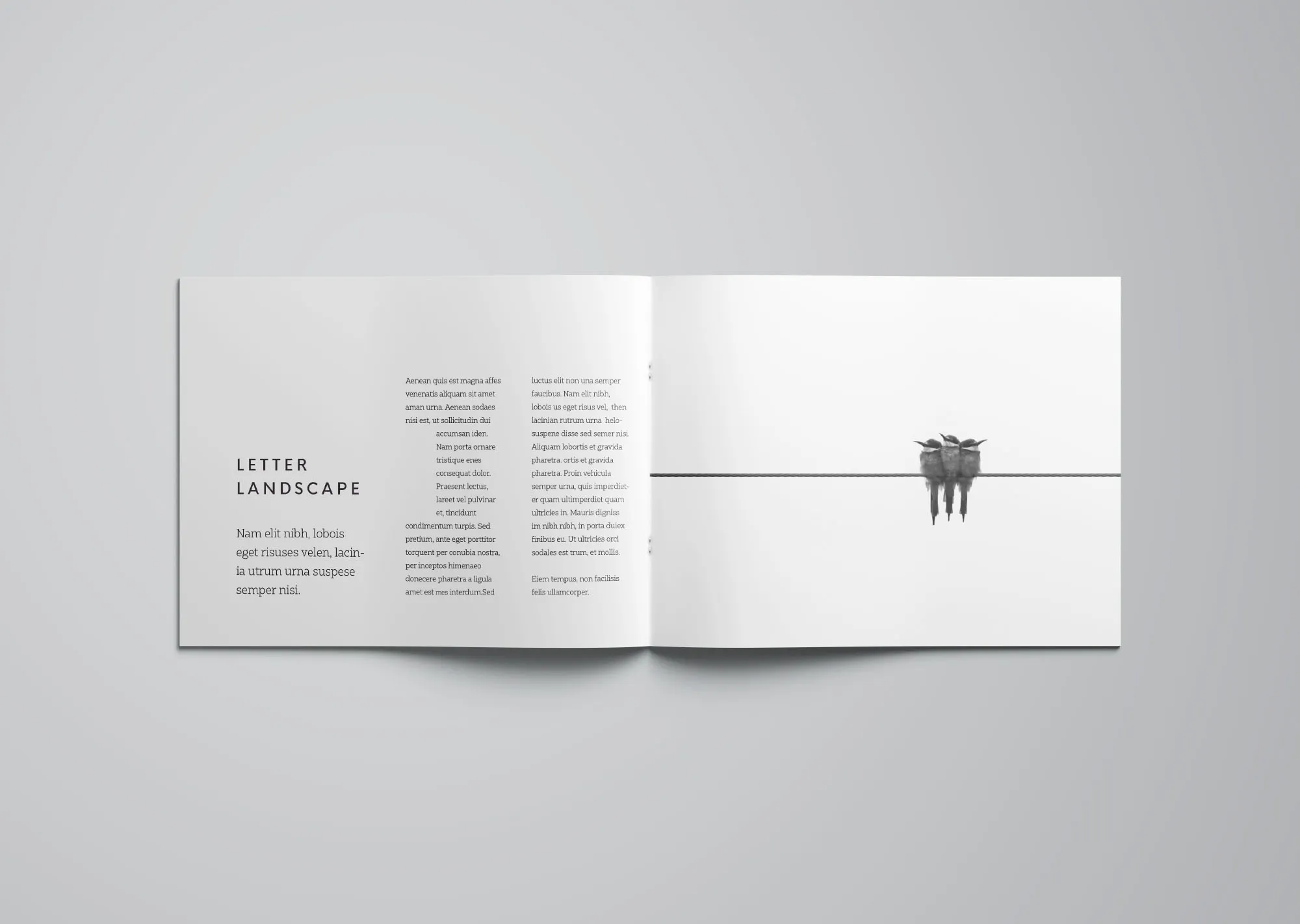 信纸尺寸规格横向小画册样机模板 Letter Landscape Brochure Mockup插图(2)