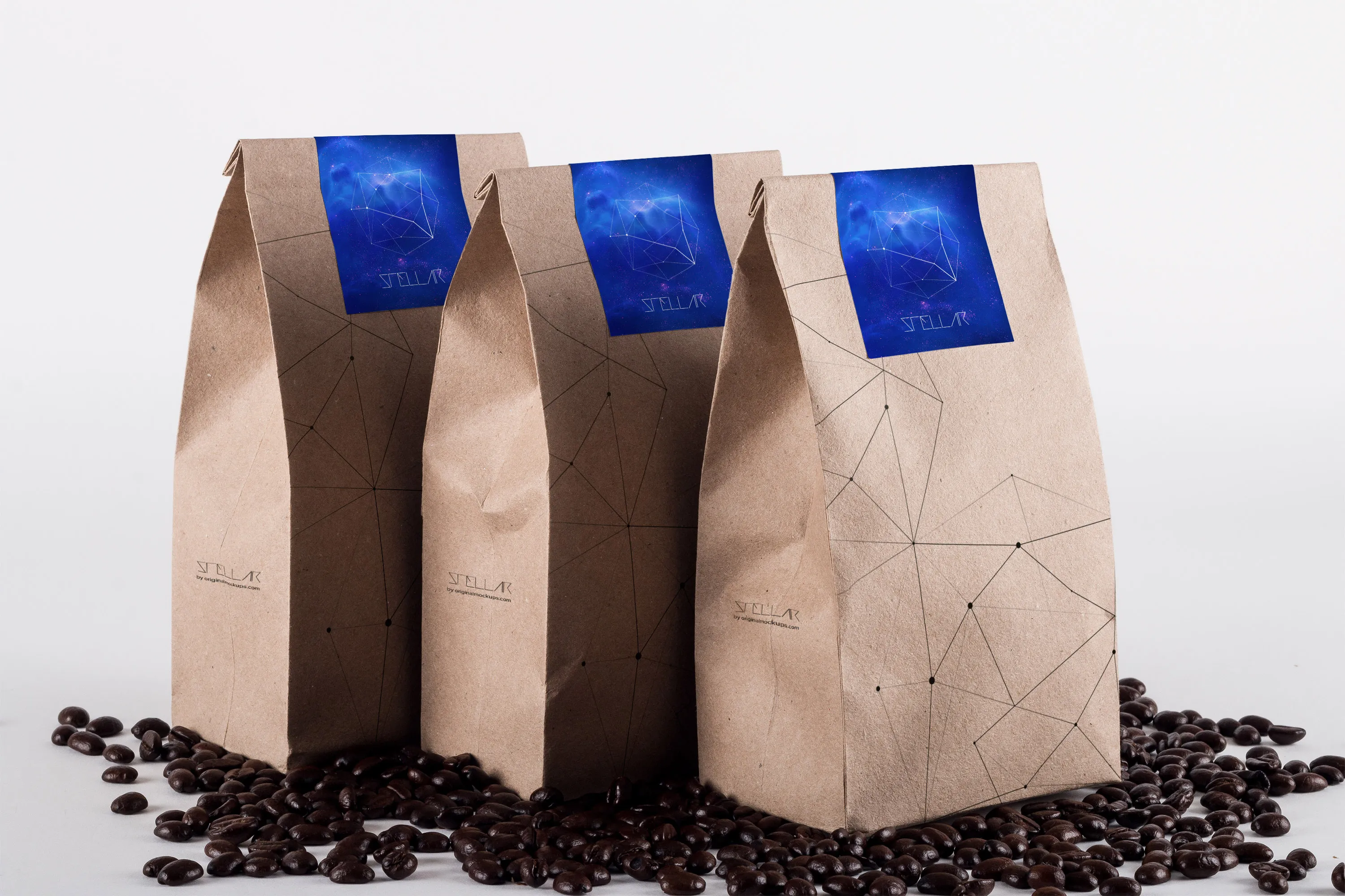 咖啡豆包装袋设计样机模板01 Coffee Bag Mockup 01