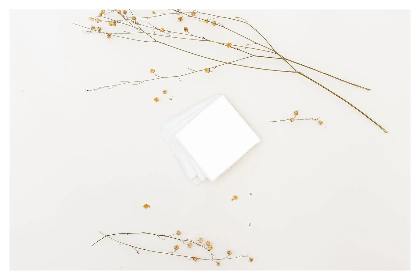 野花装饰背景卡片贺卡设计效果图样机 Wildflowers Cards Mockup插图(1)