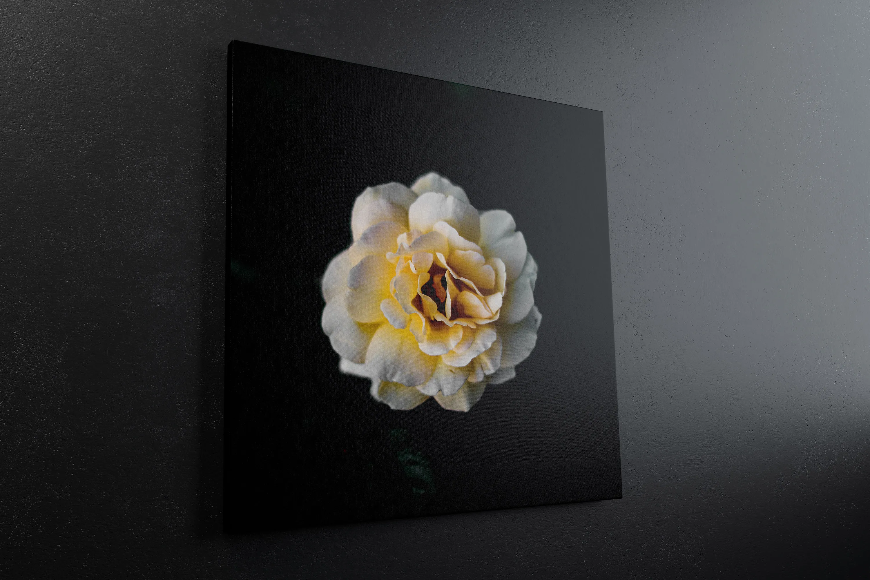 挂墙方形画布画框左视图样机模板 Square Canvas Mockup Hanging on Wall, Left View插图(3)