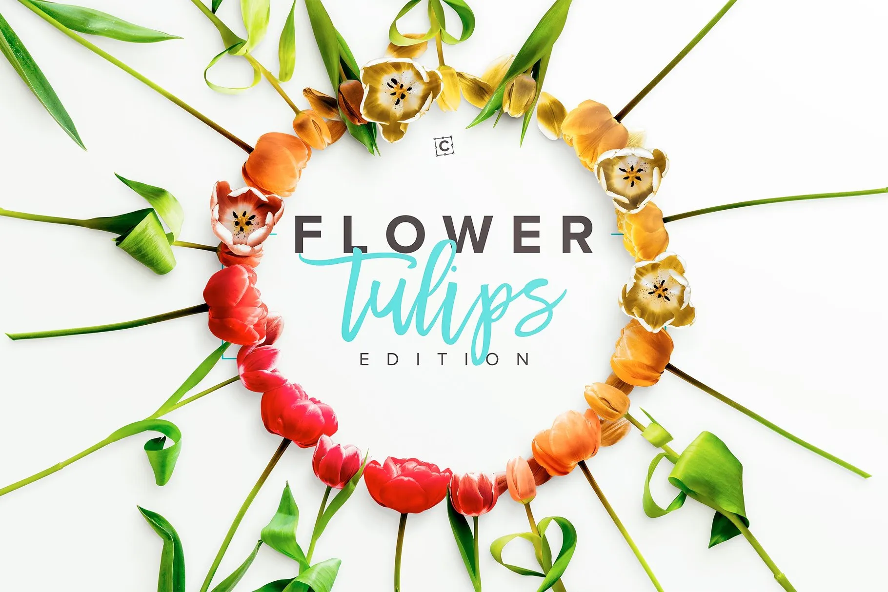 郁金香花卉场景样机 Flower Tulips Edition – Custom Scene[1.18GB]插图(4)